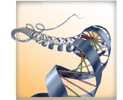 PICTO Biotech 5